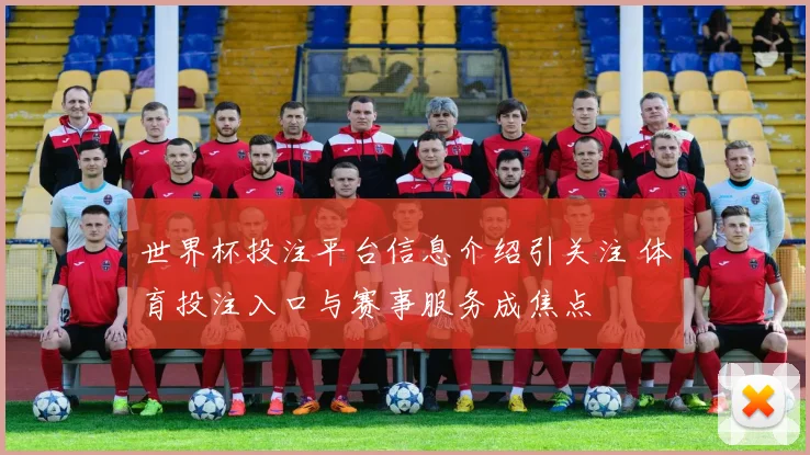 世界杯投注平台信息介绍引关注 体育投注入口与赛事服务成焦点