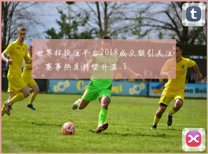 世界杯投注平台2018成交额引关注，赛事热度持续升温_1